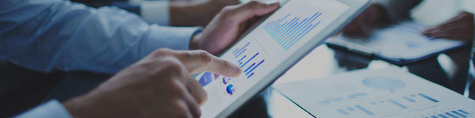 Chief Financial Officer (CFO) Services